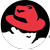 RedHat Enterprise Linux Logo
